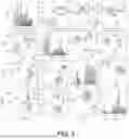 Fig. 07 - Systems and Methods for Knowledge Distillation Using Artificial Intelligence