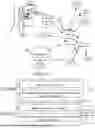 Fig. 45 - ARTIFICIAL INTELLIGENCE SYSTEMS AND METHODS FOR CASHIERLESS TRACKING AND FEEDBACK