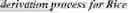Fig. 197 - RESIDUAL AND COEFFICIENTS CODING FOR VIDEO CODING