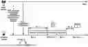 Fig. 01 - Uplink Control Transmission for Multi-Downlink Scheduling