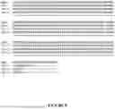 Fig. 09 - CEREAL GRAIN WITH THICKENED ALEURONE