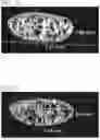 Fig. 07 - PET FOOD