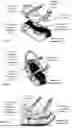 Fig. 07 - A MULTI-LEVEL FOOTWEAR SOLE