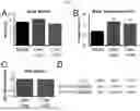 Fig. 05 - COMPOSITIONS AND METHODS FOR TREATMENT OF PEDIATRIC PAIN