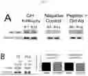 Fig. 08 - COMPOSITIONS AND METHODS FOR TREATMENT OF PEDIATRIC PAIN