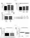 Fig. 14 - COMPOSITIONS AND METHODS FOR TREATMENT OF PEDIATRIC PAIN