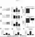 Fig. 15 - COMPOSITIONS AND METHODS FOR TREATMENT OF PEDIATRIC PAIN