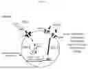 Fig. 16 - COMPOSITIONS AND METHODS FOR TREATMENT OF PEDIATRIC PAIN