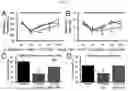 Fig. 20 - COMPOSITIONS AND METHODS FOR TREATMENT OF PEDIATRIC PAIN