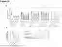 Fig. 97 - Coronavirus vaccine