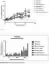 Fig. 08 - IMMUNOGENIC FORMULATION CONTAINING ONE OR MORE MODIFIED BCG STRAINS EXPRESSING A SARS-CoV-2 PROTEIN, USEFUL FOR PREVENTING, TREATING, OR ATTENUATING THE DEVELOPMENT OF COVID-19