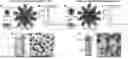 Fig. 01 - Glycoengineered protein nanoparticles and uses thereof