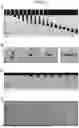 Fig. 03 - Method for Rapid and Large-Scale Generation of Droplets and Droplet Libraries