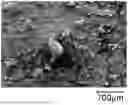 Fig. 01 - Method for grinding powders, method for coating a material, metal particles, coated material and uses of these