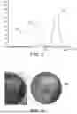 Fig. 07 - Method for grinding powders, method for coating a material, metal particles, coated material and uses of these