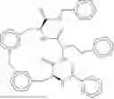 Fig. 320 - MACROCYCLIC COMPOUNDS AS PROTEASOME INHIBITORS
