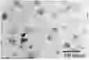 Fig. 01 - POLY (AMINO ACID) RHEOLOGY MODIFIER COMPOSITIONS AND METHODS OF USE