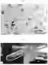Fig. 02 - POLY (AMINO ACID) RHEOLOGY MODIFIER COMPOSITIONS AND METHODS OF USE