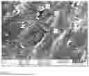 Fig. 02 - HIGH CONCENTRATION POLYMER MASTERBATCHES OF LIQUID PHOSPHITE ANTIOXIDANTS WITH IMPROVED RESISTANCE TO HYDROLYSIS