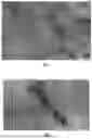 Fig. 01 - POLYISOPRENE LATEX GRAPHENE COMPOSITES AND METHODS OF MAKING THEM
