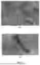 Fig. 02 - POLYISOPRENE LATEX GRAPHENE COMPOSITES AND METHODS OF MAKING THEM