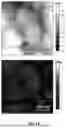 Fig. 07 - Rubber composition with dual fillers reinforcement