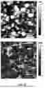Fig. 08 - Rubber composition with dual fillers reinforcement