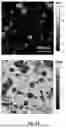 Fig. 09 - Rubber composition with dual fillers reinforcement