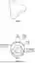 Fig. 06 - COLORABLE AND BIODEGRADABLE TRIMMER LINE AND METHOD THEREOF