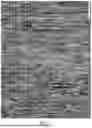 Fig. 02 - ROUGHENING TREATMENT METHOD FOR STAINLESS STEEL SURFACE, METHOD FOR MANUFACTURING ROUGHENED STAINLESS STEEL, AND AQUEOUS COMPOSITION USED IN SAID METHODS