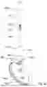 Fig. 16 - Liquid height level device