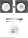 Fig. 02 - ML-ASSISTED LYME DISEASE MICROARRAY ASSAY