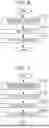 Fig. 06 - Transmitter, receiver, transmission method, and reception method