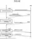 Fig. 10 - Wireless communication system, base station, terminal, and method of communication