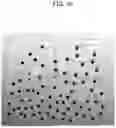Fig. 08 - DEPILATORY DEVICE AND DEPILATION METHOD
