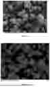 Fig. 02 - PROCESS FOR PREPARING MICROCAPSULES