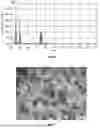 Fig. 03 - PROCESS FOR PREPARING MICROCAPSULES