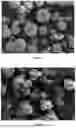 Fig. 04 - PROCESS FOR PREPARING MICROCAPSULES