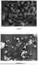 Fig. 06 - PROCESS FOR PREPARING MICROCAPSULES