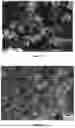 Fig. 08 - PROCESS FOR PREPARING MICROCAPSULES