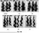 Fig. 12 - COMPOSITIONS AND METHODS FOR TREATING KERATIN FIBERS