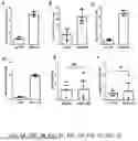Fig. 06 - COMPOSITIONS AND METHODS USED FOR RETINAL ISCHEMIA OR DIABETES
