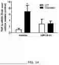 Fig. 14 - COMPOSITIONS AND METHODS USED FOR RETINAL ISCHEMIA OR DIABETES