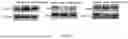 Fig. 15 - COMPOSITIONS AND METHODS USED FOR RETINAL ISCHEMIA OR DIABETES