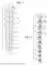 Fig. 02 - Toolset organizer