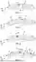 Fig. 04 - Tire Tread for a Heavy Vehicle with Improved Robustness