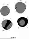 Fig. 06 - NANOSIZE POWDER ADVANCED MATERIALS, METHOD OF MANUFACTURING AND OF USING SAME