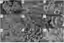 Fig. 01 - AMORPHOUS NON-POROUS SILICAS