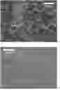 Fig. 01 - NANO-AMENDED CEMENTITIOUS MATERIALS FOR WASTE STABILIZATION