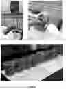 Fig. 04 - NANO-AMENDED CEMENTITIOUS MATERIALS FOR WASTE STABILIZATION